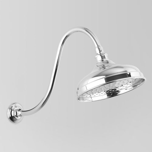 Astra Walker Olde English Gooseneck Shower Arm & 200mm Rose Only