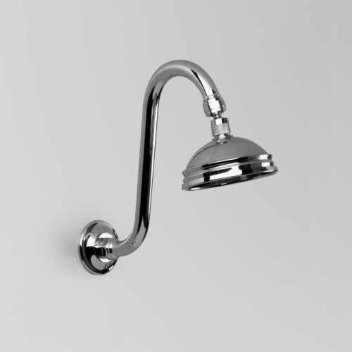 Astra Walker Olde English Gooseneck Shower Arm & 100mm Rose Only