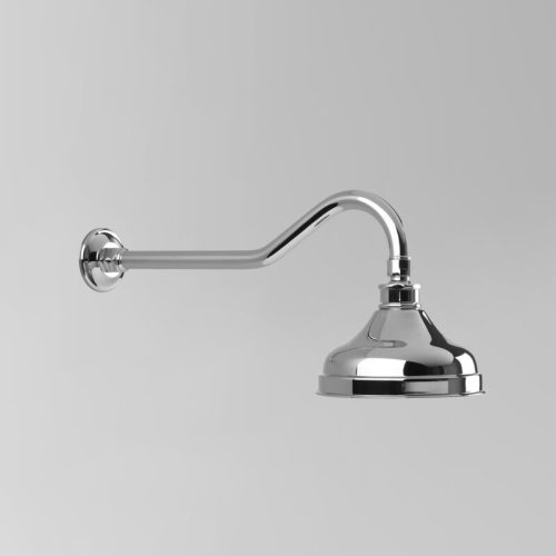 Astra Walker Olde English Shower Arm & 150mm Rose Only