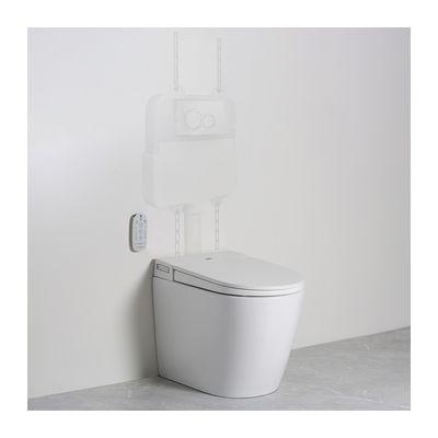 Argent Evo Wall Faced Smart Toilet S&P Trap - Ex Display